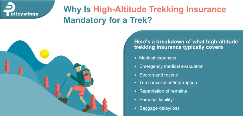 Why Is High-Altitude Trekking Insurance Mandatory For a Trek?