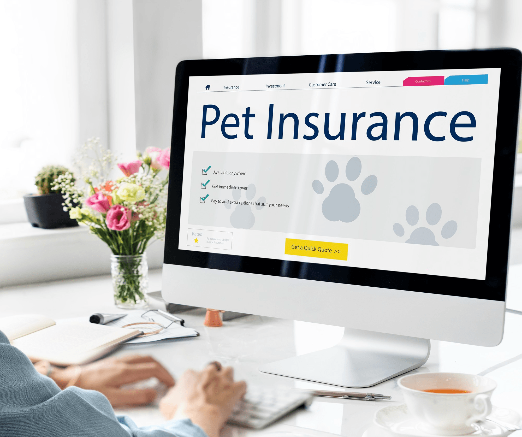 Person searching for pet insurance online.